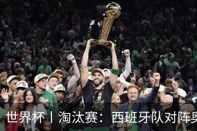 世界杯丨淘汰赛：西班牙队对阵奥地利队